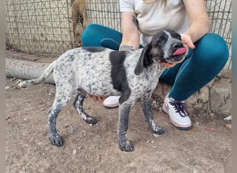 PLUMA-Kuscheln unbedingt erwünscht- Süsses Mädchen sucht liebevolle "Für-immer-Familie"