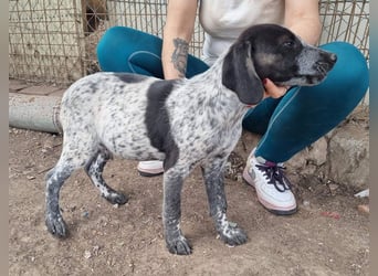 PLUMA-Kuscheln unbedingt erwünscht- Süsses Mädchen sucht liebevolle "Für-immer-Familie"