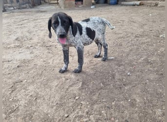 PLUMA-Kuscheln unbedingt erwünscht- Süsses Mädchen sucht liebevolle "Für-immer-Familie"