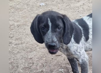 PLUMA-Kuscheln unbedingt erwünscht- Süsses Mädchen sucht liebevolle "Für-immer-Familie"