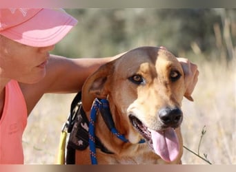 anfangs schüchternen DWAYNE sucht auch..  