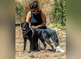 Amadeo - ein guter Kerl