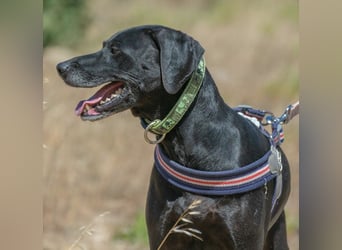 Amadeo - ein guter Kerl Amadeo - ein guter Kerl