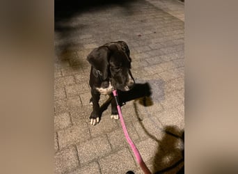 TAZ Reserviert