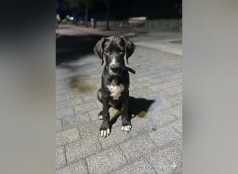 TAZ Reserviert
