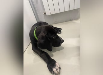 TAZ Reserviert