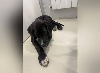 TAZ Reserviert