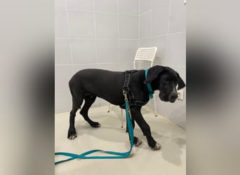 TAZ Reserviert