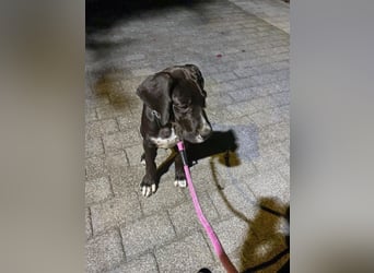 TAZ Reserviert