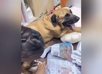 Chowon, unser Riesenbaby sucht Dich,