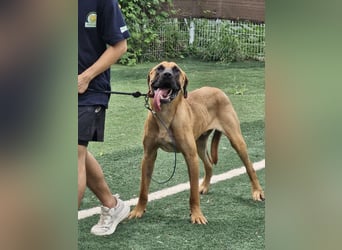 Chowon, unser Riesenbaby sucht Dich,