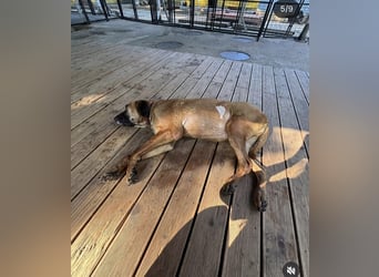 Chowon, unser Riesenbaby sucht Dich,