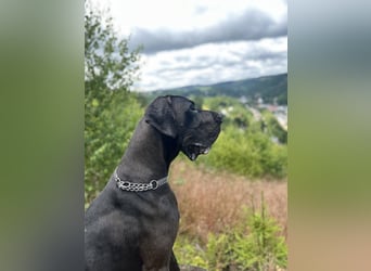 Milow - Riesenbaby will endlich ankommen