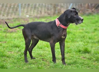 Amy sucht liebevolle Menschen