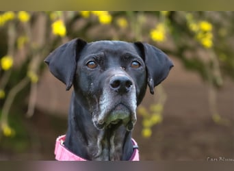 Amy sucht liebevolle Menschen