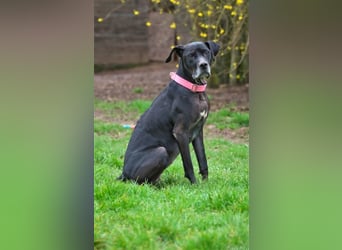 Amy sucht liebevolle Menschen