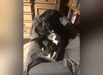 Unsere DD sucht ein neues Daheim