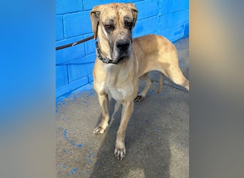 Canela, eine große Miss Sunshine