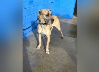 Canela, eine große Miss Sunshine