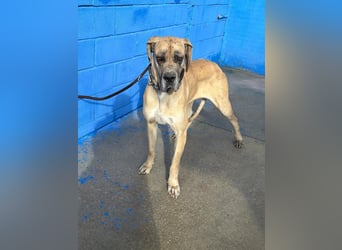 Canela, eine große Miss Sunshine