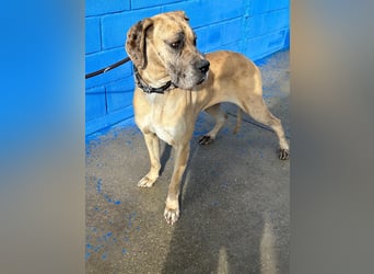 Canela, eine große Miss Sunshine