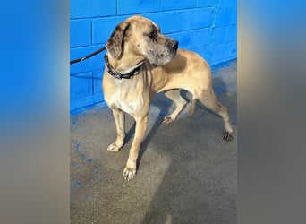 Canela, eine große Miss Sunshine