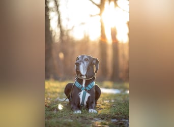 Manny - wünscht dich ein ruhiges Zuhause