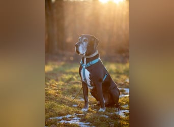 Manny - wünscht dich ein ruhiges Zuhause