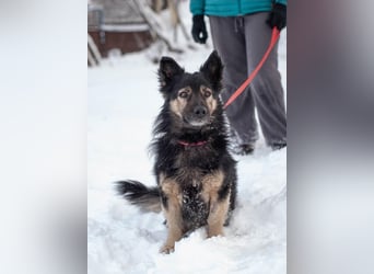 Tarzan - Wundervoller Kumpel (Ukraine)