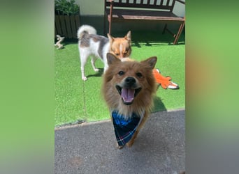 James SR sucht Kuschelpartner