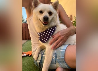 Matti SR sucht sein Für-Immer-Zuhause❤️