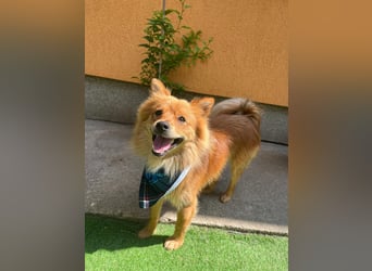 James SR sucht Kuschelpartner