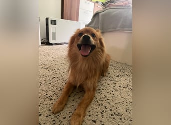 James SR sucht Kuschelpartner