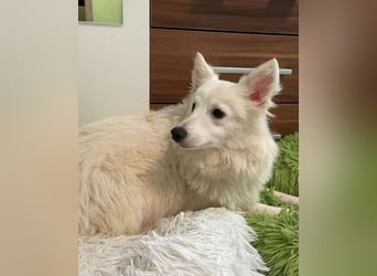 Timm SR, freundlich, etwas schüchtern