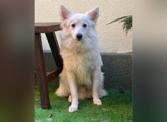 Timm SR, freundlich, etwas schüchtern