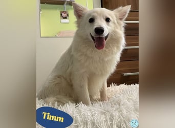 Timm SR, freundlich, etwas schüchtern