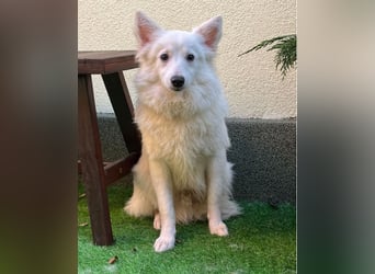 Timm SR, freundlich, etwas schüchtern