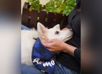 Timm SR, freundlich, etwas schüchtern