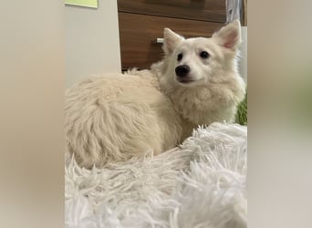 Timm SR, freundlich, etwas schüchtern