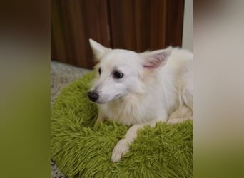 Timm SR, freundlich, etwas schüchtern