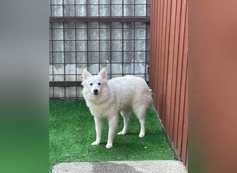 Timm SR, freundlich, etwas schüchtern