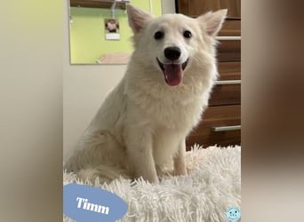 Timm SR, freundlich, etwas schüchtern