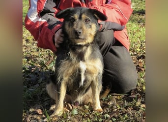 Bobek- ein Schatz zum lieb haben