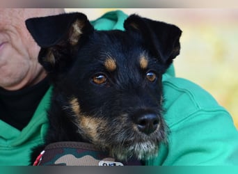 Kleiner Held Batman sucht sein Körbchen