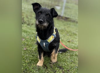 Buddy sucht seine Herzensmenschen