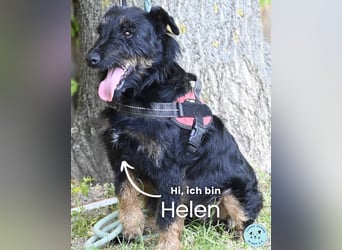 Helen SI, zauberhaftes kleines Mädchen