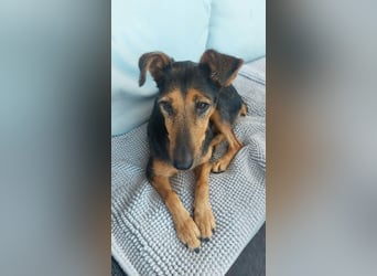Hedi SI - kinderlieb, menschenbezogen