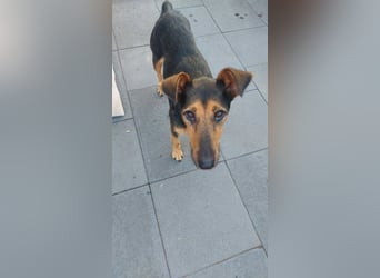 Hedi SI - kinderlieb, menschenbezogen