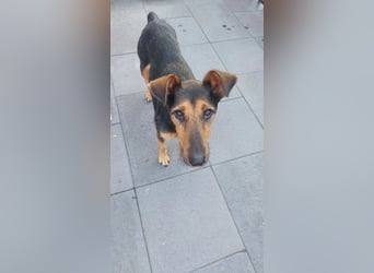 Hedi SI - kinderlieb, menschenbezogen