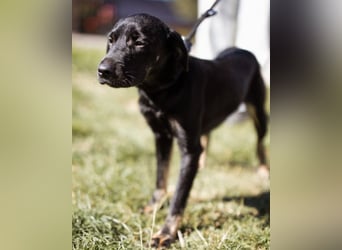 Zuckermaus Sophie ❤️ freundlich + so lieb!